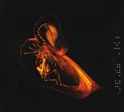 CD - Bola - Gnayse - Digipak