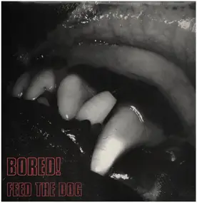 Bored! - Feed The Dog