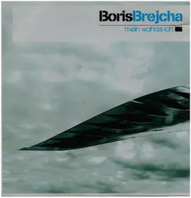 Boris Brejcha - Mein Wahres Ich