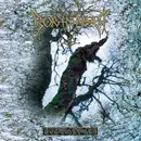LP - Borknagar - The Olden Domain - ultra Clear Vinyl, LTD ED