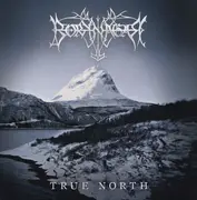 Double LP - Borknagar - True North - 180g