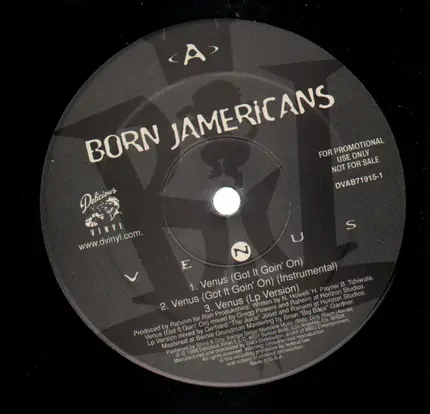 Born Jamericans - Venus