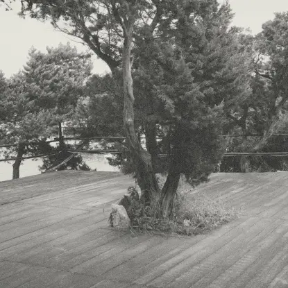 Borrowed Identity & Mechanical Soul Brot - Caps And Chords