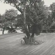 BORROWED IDENTITY - Caps And Chords