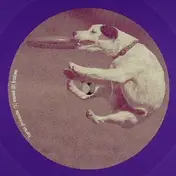 Bottin - 15 Minutes / Speed / Frisbee