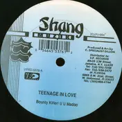 Bounty Killer - Teenager In Love / I Can't Let Go