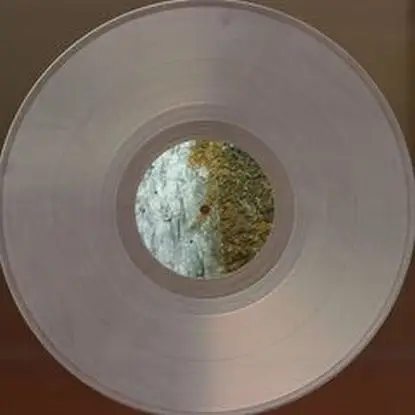 Bovill - Analogue Mapping