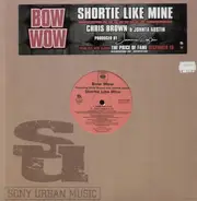 Bow Wow - Shortie Like Mine