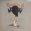 LP - Bowerbirds - Hymns For A Dark Horse