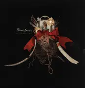 LP - Bowerbirds - The Clearing