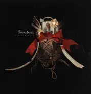 Bowerbirds - The Clearing
