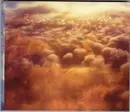 CD - Bowerbirds - Upper Air