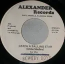 7inch Vinyl Single - Bowery Boys - Catch A Falling Star