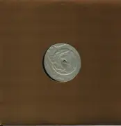 12inch Vinyl Single - Bowery Electric - Coming Down