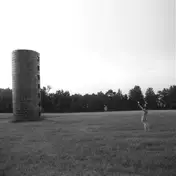 Boy Genius - Staggering