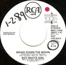 7inch Vinyl Single - Boy Meets Girl - Bring Down The Moon