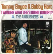 Boyce - I Wonder What She's Doing Tonight?