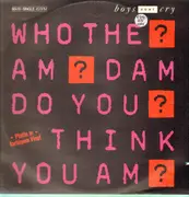 12inch Vinyl Single - Boys Don't Cry - Who The Am Dam Do You Think You Am? / The Cure - Red