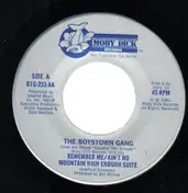 Boystown Gang - Remember Me / Ain't No Mountain High Enough Suite