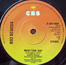 7'' - Boz Scaggs - What Can I Say