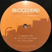 Double LP - Blockhead - Downtown Science