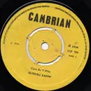 7inch Vinyl Single - Blodau Banw - Caru Ar Y Ffôn / Atgofion
