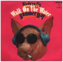 7inch Vinyl Single - Blodwyn Pig - Walk On The Water
