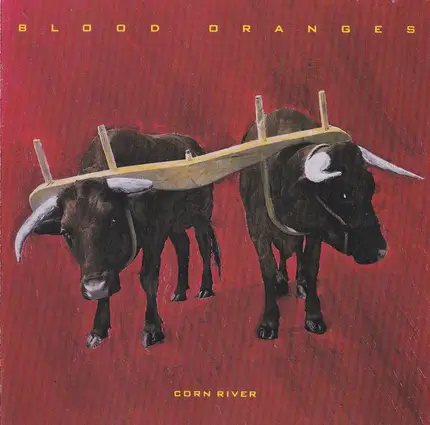 Blood Oranges - Corn River