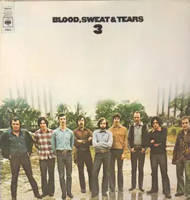 , - Blood, Sweat And Tears 3