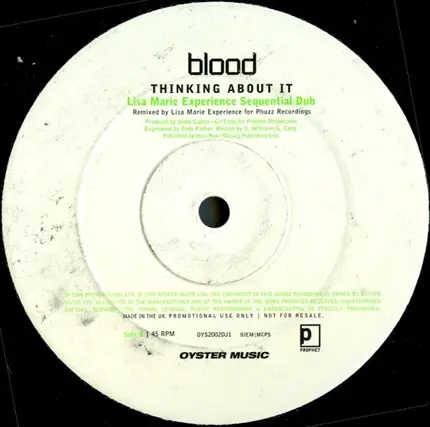 Blood - Thinking About It (Lisa Marie Experience Mixes)