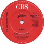 7inch Vinyl Single - Bloodfire Possé - Are You Ready