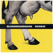 Bloodhound Gang - Hooray