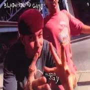12inch Vinyl Single - Bloodhound Gang - Mama Say