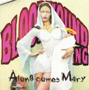 CD Single - Bloodhound Gang - Along Comes Mary