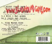 CD Single - Bloodhound Gang - Along Comes Mary