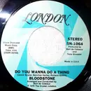 7inch Vinyl Single - Bloodstone - Do You Wanna Do A Thing / Save Me