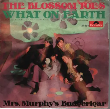 Blossom Toes - What On Earth