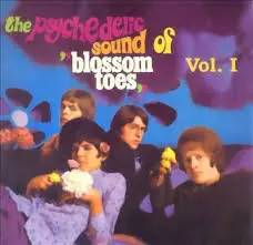 Blossom Toes - The Psychedelic Sound Of 'Blossom Toes' Vol. I: We Are Ever So Clean