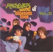 Blossom Toes - The Psychedelic Sound Of 'Blossom Toes' Vol. II: If Only For A Moment