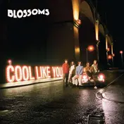 The Blossoms - Cool Like You