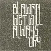12inch Vinyl Single - Blawan - Wet Will Always Dry - Still sealed