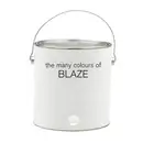 CD - Blaze - The Many Colours Of Blaze