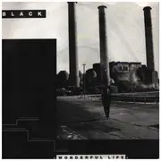 7inch Vinyl Single - Black - Wonderful Life