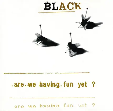 Black - Are We Having Fun Yet?
