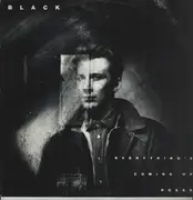 12inch Vinyl Single - Black - Everything's Coming Up Roses