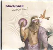 Blackmail - Anima Now!