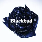 BLACKBUD - Blackbud