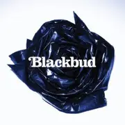 CD - Blackbud - BlackBud - Digipak