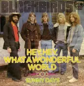 The Blackbirds - Hey, Hey, What A Wonderful World