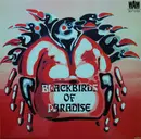 LP - Blackbirds Of Paradise - Blackbirds Of Paradise